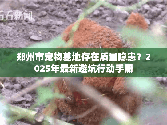 郑州市宠物墓地存在质量隐患?2025年最新避坑行动手册 郑州市宠物墓地存在质量隐患?2025年最新避坑行动手册