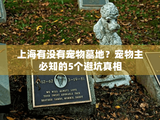 上海有没有宠物墓地？宠物主必知的5个避坑真相