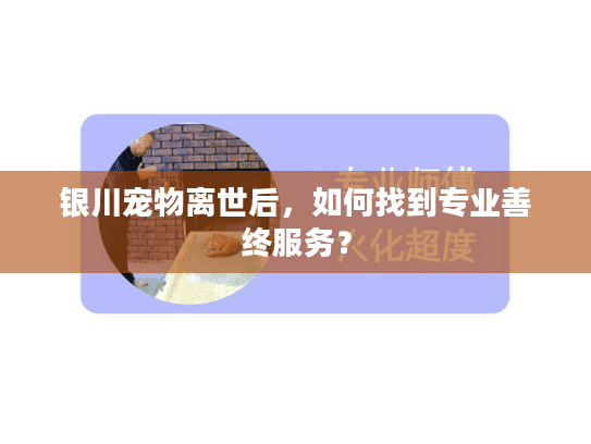 银川宠物离世后，如何找到专业善终服务？