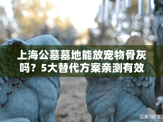 上海公墓墓地能放宠物骨灰吗？5大替代方案亲测有效