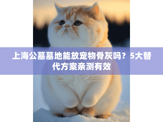 上海公墓墓地能放宠物骨灰吗？5大替代方案亲测有效