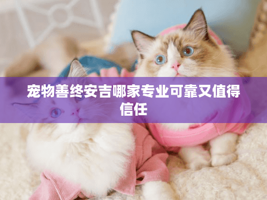宠物善终安吉哪家专业可靠又值得信任