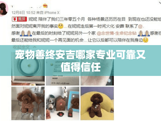 宠物善终安吉哪家专业可靠又值得信任