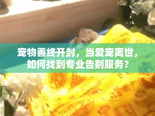 宠物善终开封，当爱宠离世，如何找到专业告别服务？