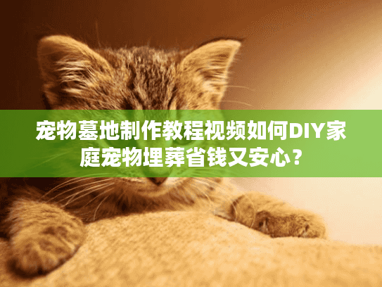 宠物墓地制作教程视频如何DIY家庭宠物埋葬省钱又安心？