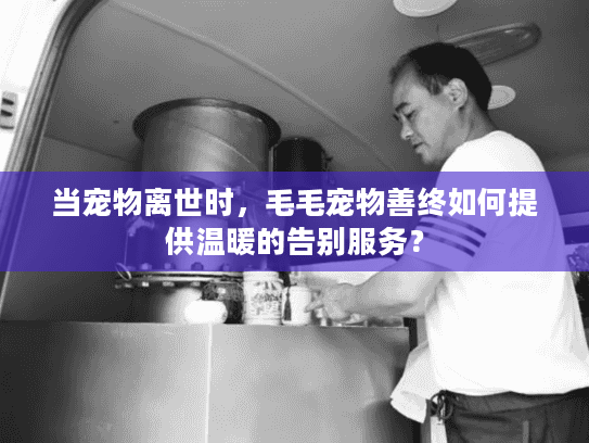当宠物离世时，毛毛宠物善终如何提供温暖的告别服务？
