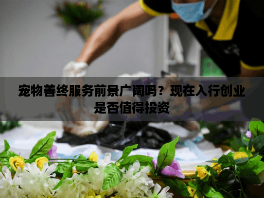 宠物善终服务前景广阔吗？现在入行创业是否值得投资