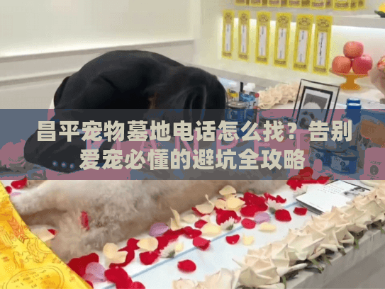 昌平宠物墓地电话怎么找？告别爱宠必懂的避坑全攻略