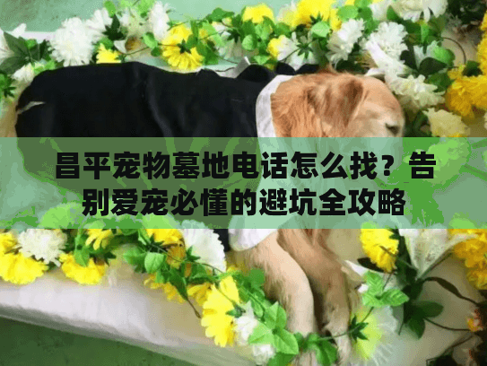 昌平宠物墓地电话怎么找？告别爱宠必懂的避坑全攻略