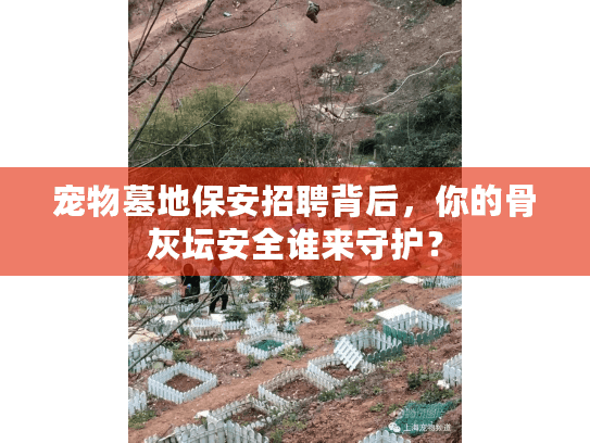 宠物墓地保安招聘背后，你的骨灰坛安全谁来守护？