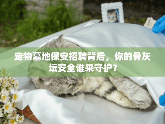 宠物墓地保安招聘背后，你的骨灰坛安全谁来守护？