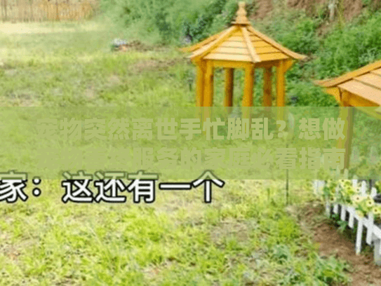 宠物突然离世手忙脚乱？想做宠物善终服务的家庭必看指南