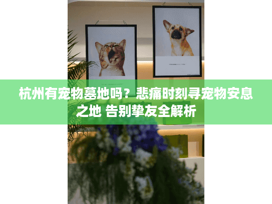 杭州有宠物墓地吗?悲痛时刻寻宠物安息之地 告别挚友全解析 杭州有宠物墓地吗?悲痛时刻寻宠物安息之地 告别挚友全解析