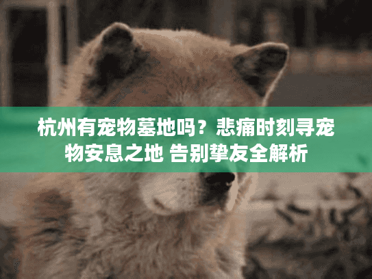 杭州有宠物墓地吗?悲痛时刻寻宠物安息之地 告别挚友全解析 杭州有宠物墓地吗?悲痛时刻寻宠物安息之地 告别挚友全解析
