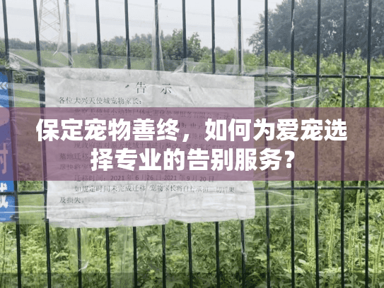 保定宠物善终，如何为爱宠选择专业的告别服务？