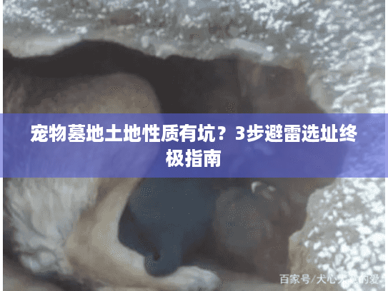 宠物墓地土地性质有坑？3步避雷选址终极指南