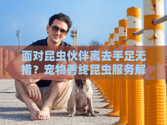 面对昆虫伙伴离去手足无措？宠物善终昆虫服务解你后顾之忧