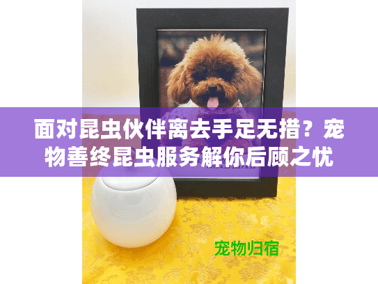 面对昆虫伙伴离去手足无措？宠物善终昆虫服务解你后顾之忧