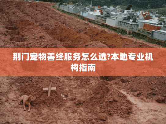 荆门宠物善终服务怎么选?本地专业机构指南