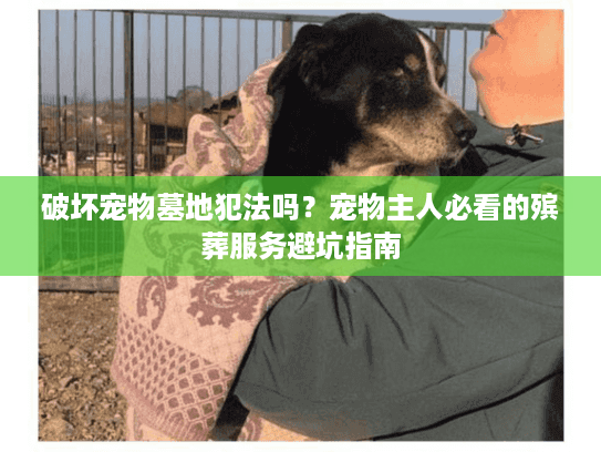 破坏宠物墓地犯法吗？宠物主人必看的殡葬服务避坑指南