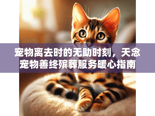 宠物离去时的无助时刻，天念宠物善终殡葬服务暖心指南