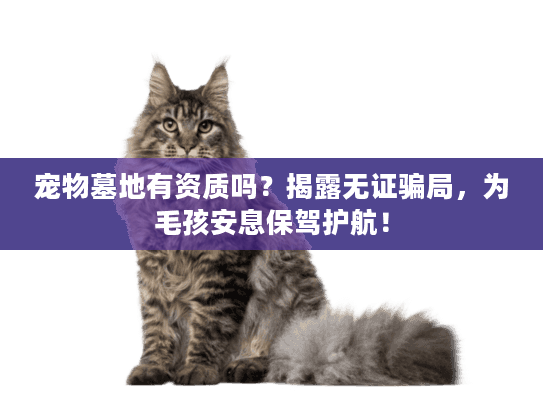 宠物墓地有资质吗？揭露无证骗局，为毛孩安息保驾护航！