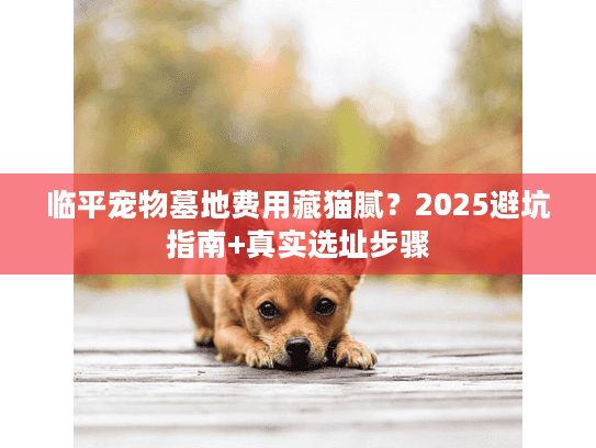 临平宠物墓地费用藏猫腻？2025避坑指南+真实选址步骤