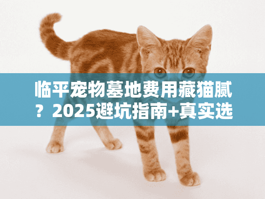 临平宠物墓地费用藏猫腻？2025避坑指南+真实选址步骤