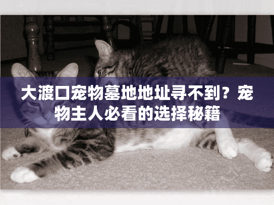 大渡口宠物墓地地址寻不到?宠物主人必看的选择秘籍 大渡口宠物墓地地址寻不到?宠物主人必看的选择秘籍