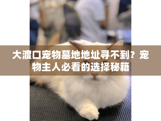 大渡口宠物墓地地址寻不到?宠物主人必看的选择秘籍 大渡口宠物墓地地址寻不到?宠物主人必看的选择秘籍