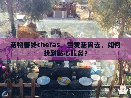 宠物善终cheras，当爱宠离去，如何找到贴心服务？