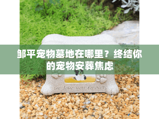 邹平宠物墓地在哪里？终结你的宠物安葬焦虑
