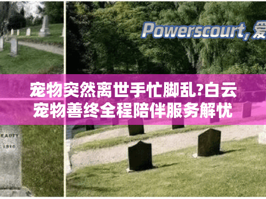 宠物突然离世手忙脚乱?白云宠物善终全程陪伴服务解忧
