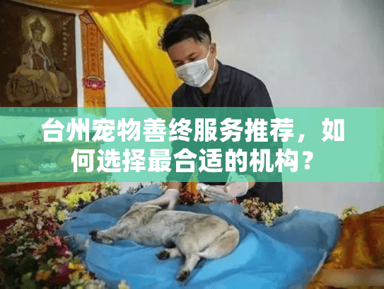 台州宠物善终服务推荐，如何选择最合适的机构？