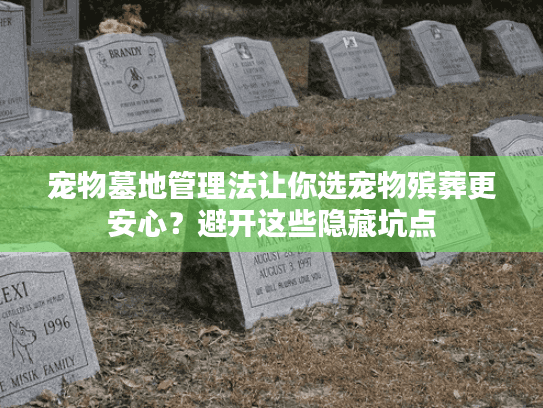 宠物墓地管理法让你选宠物殡葬更安心？避开这些隐藏坑点
