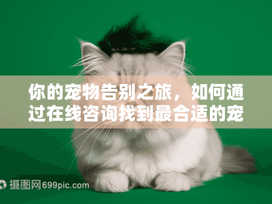 你的宠物告别之旅，如何通过在线咨询找到最合适的宠物墓地？