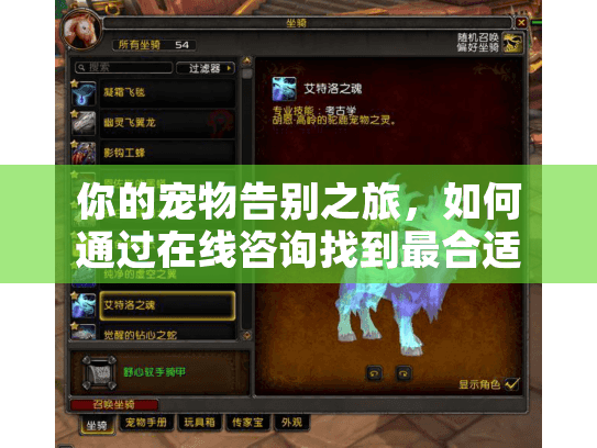 你的宠物告别之旅，如何通过在线咨询找到最合适的宠物墓地？
