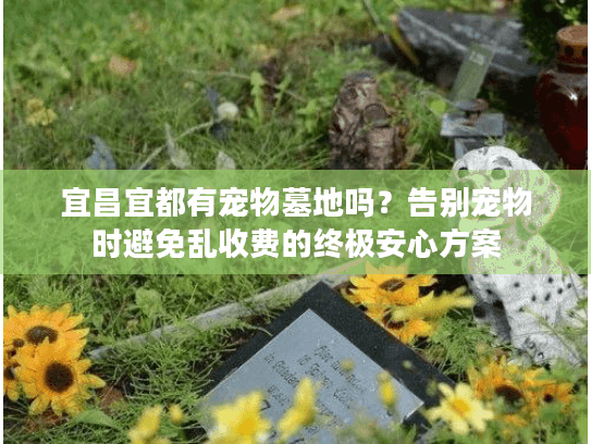 宜昌宜都有宠物墓地吗？告别宠物时避免乱收费的终极安心方案