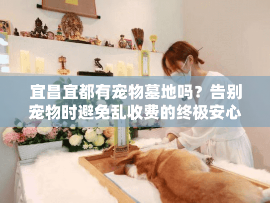 宜昌宜都有宠物墓地吗？告别宠物时避免乱收费的终极安心方案