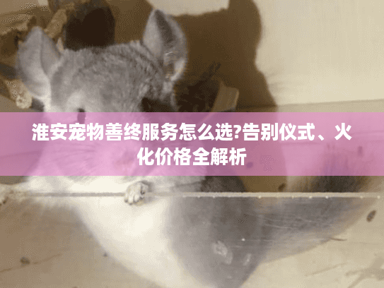 淮安宠物善终服务怎么选?告别仪式、火化价格全解析