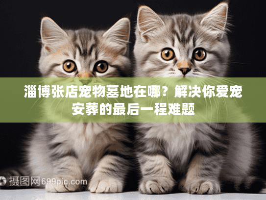 淄博张店宠物墓地在哪？解决你爱宠安葬的最后一程难题