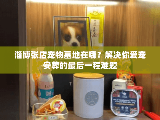 淄博张店宠物墓地在哪？解决你爱宠安葬的最后一程难题