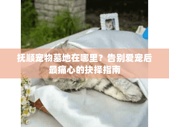 抚顺宠物墓地在哪里？告别爱宠后最痛心的抉择指南