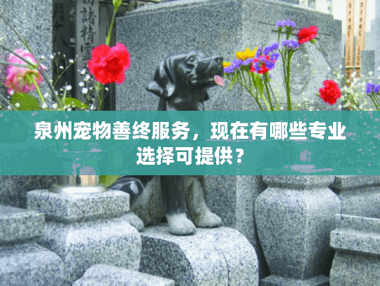 泉州宠物善终服务，现在有哪些专业选择可提供？