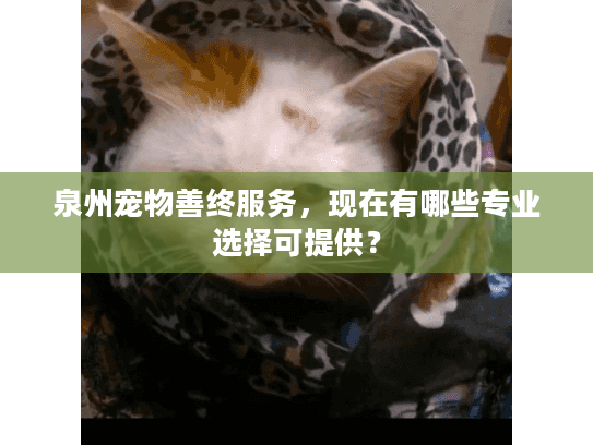 泉州宠物善终服务，现在有哪些专业选择可提供？