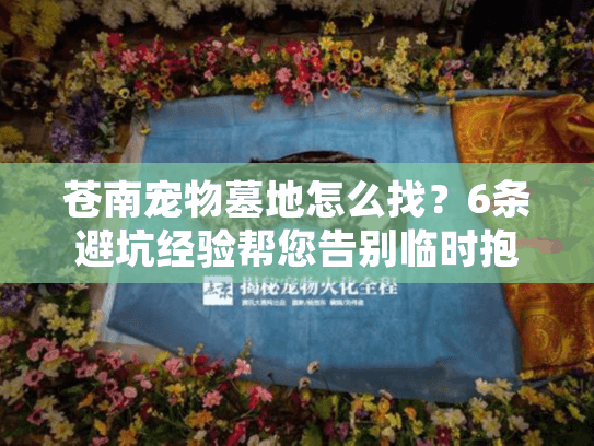 苍南宠物墓地怎么找？6条避坑经验帮您告别临时抱佛脚