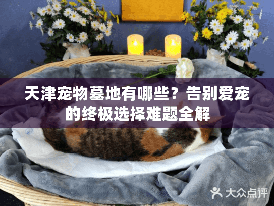 天津宠物墓地有哪些？告别爱宠的终极选择难题全解