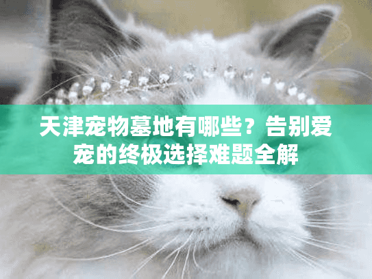 天津宠物墓地有哪些？告别爱宠的终极选择难题全解