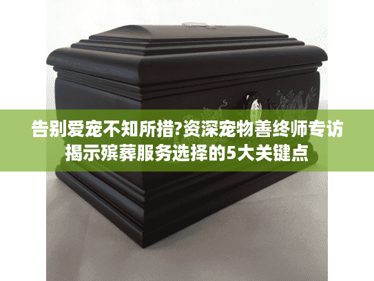 告别爱宠不知所措?资深宠物善终师专访揭示殡葬服务选择的5大关键点