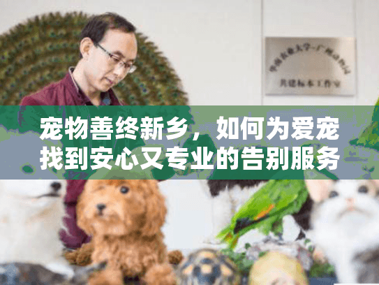宠物善终新乡，如何为爱宠找到安心又专业的告别服务？